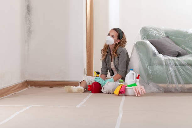 Reliable Black Mold Remediation contractor in Canton, IL by Car Mold Remediation